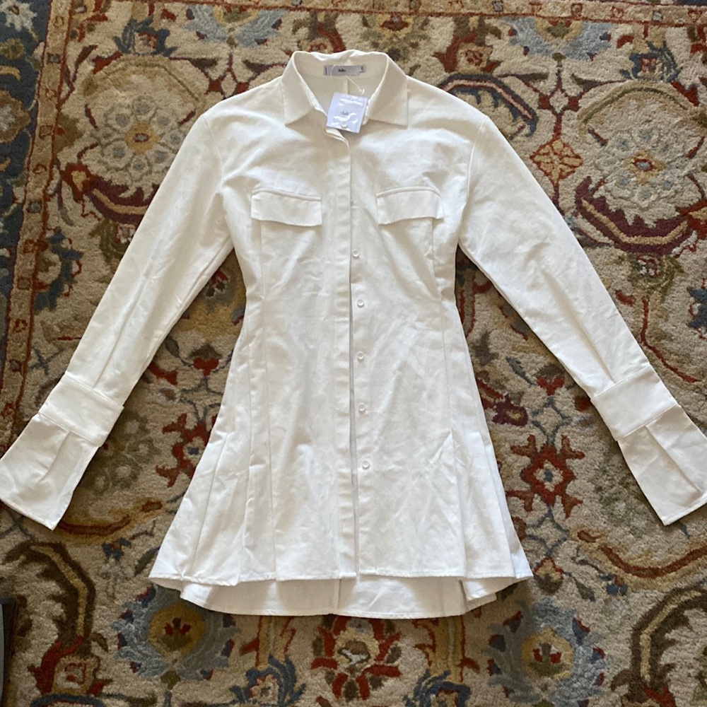 NWT Adika Pleated Dress